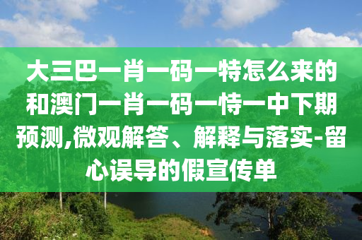 大三巴一肖一碼一特怎么來的和澳門一肖一碼一恃一中下期預(yù)測(cè),微觀解答、解釋與落實(shí)-留心誤導(dǎo)的假宣傳單